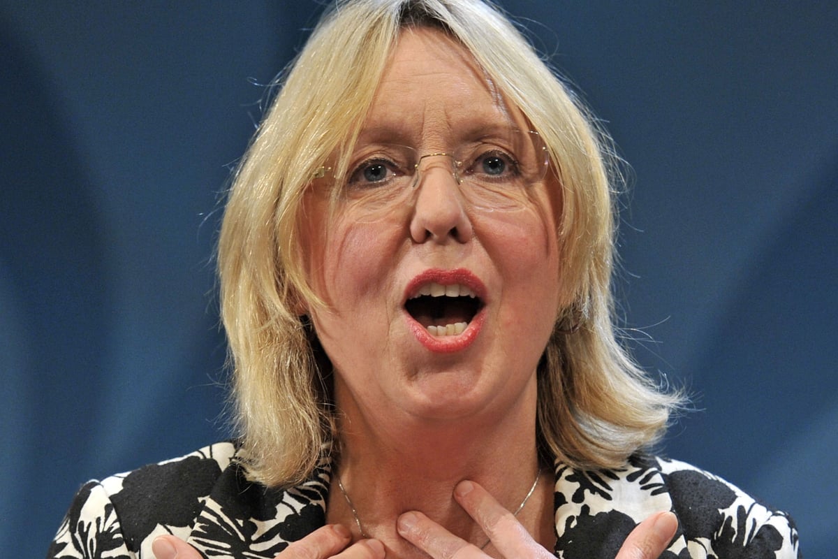 Liberal Democrat party chiefs open the door to expansion of Gatwick airport | London Evening Standard