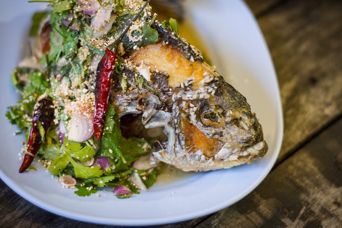 London's new winter foodie pop-ups | London Evening Standard