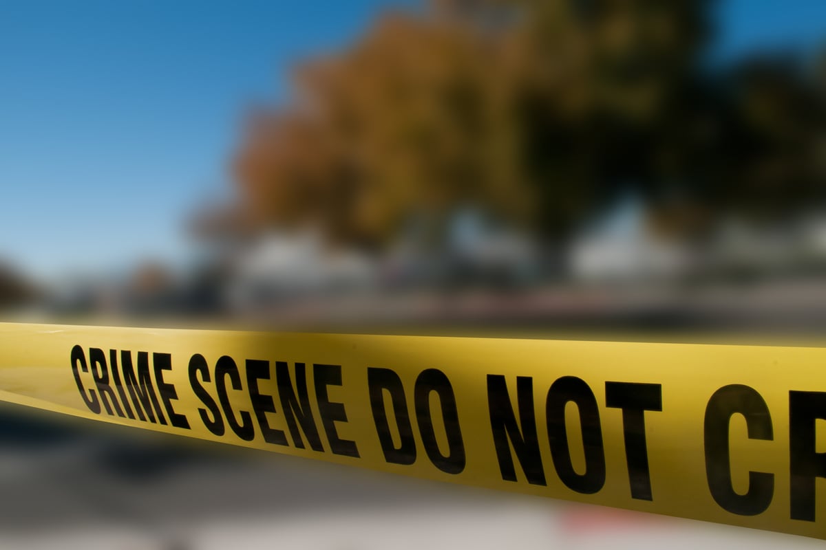 Construction worker dies in Central Park after being crushed by his own van | London Evening Standard