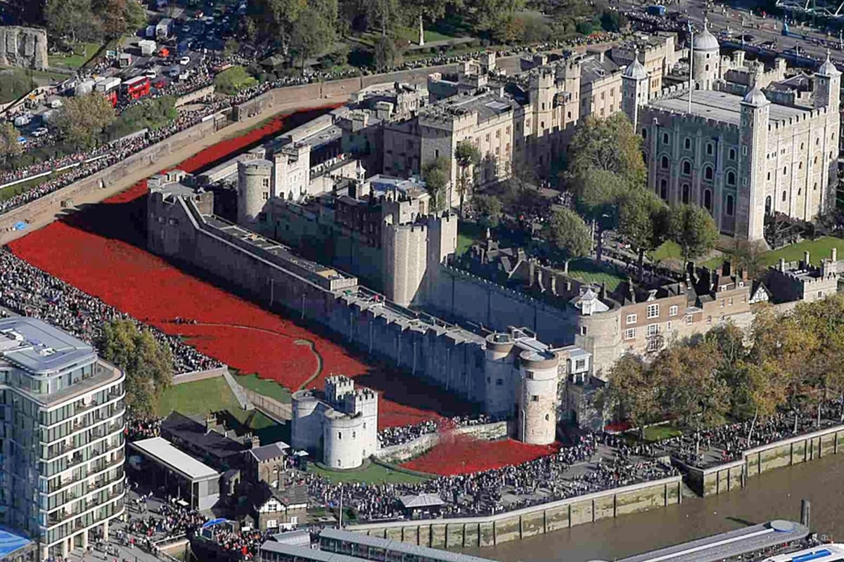 Tower of London poppies: Cameron backs campaign for display to stay for longer | London Evening Standard