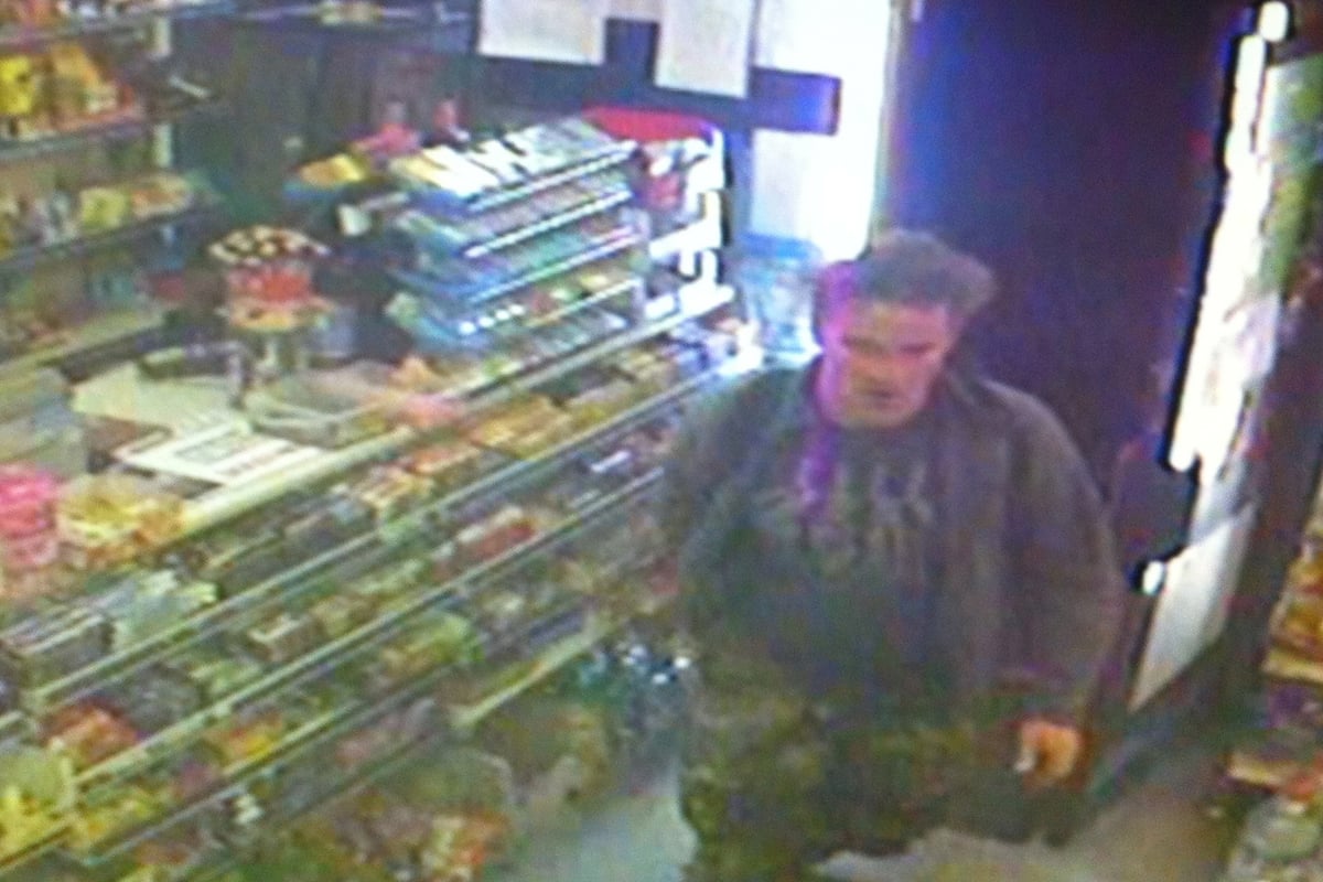 Alice Gross murder suspect in new CCTV released by police who believe he killed her | London Evening Standard