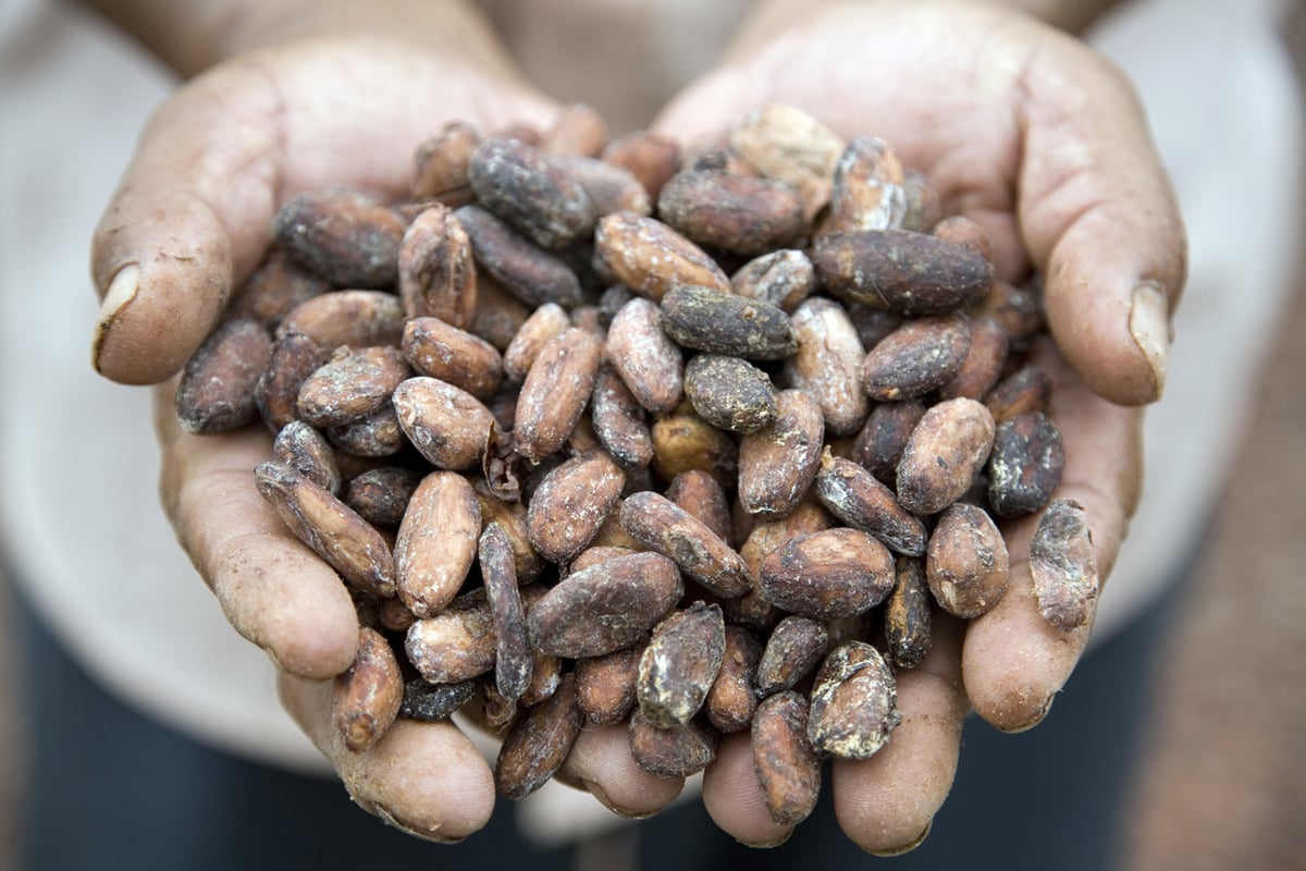 A-Z of healthy ingredients: what is raw cacao and how can we eat it? | London Evening Standard