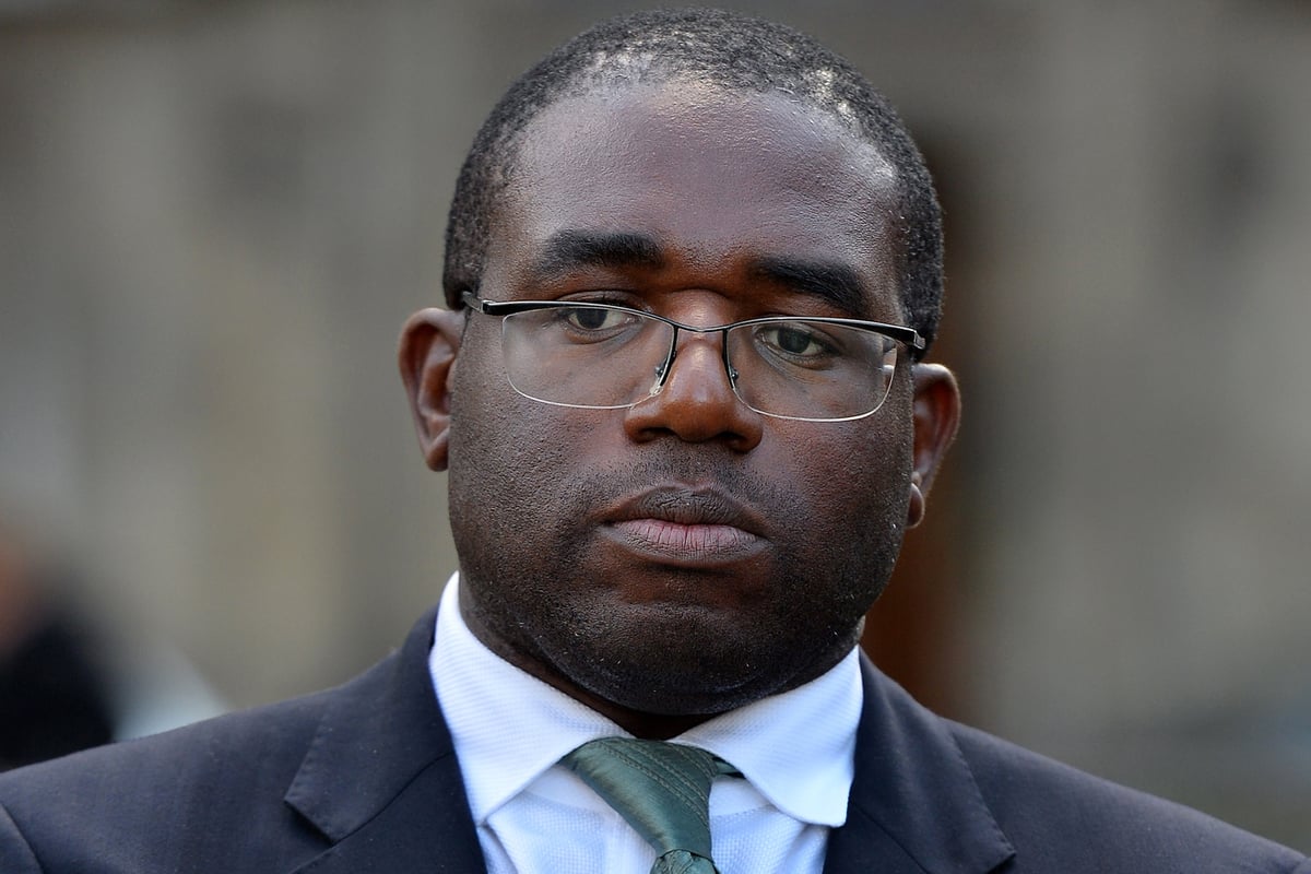 'We can stop this madness': London MP David Lammy calls on Commons to overrule Brexit vote and 'end nightmare' | London Evening Standard