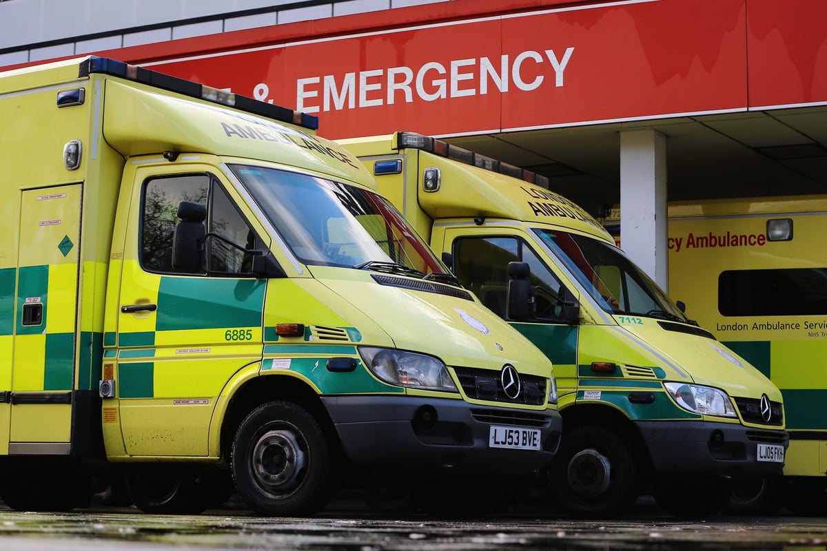 London records 42% rise in weekly deaths as impact of second Covid-19 wave revealed