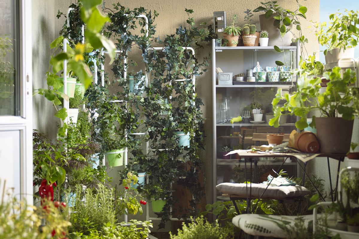 Best urban gardening tools from Liberty, Ikea and Orla Kiely for the 'grow your own' trend | London Evening Standard