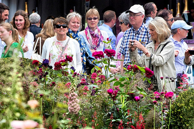 Chelsea Flower Show caterer Mitie hit by Brexit uncertainty | London Evening Standard