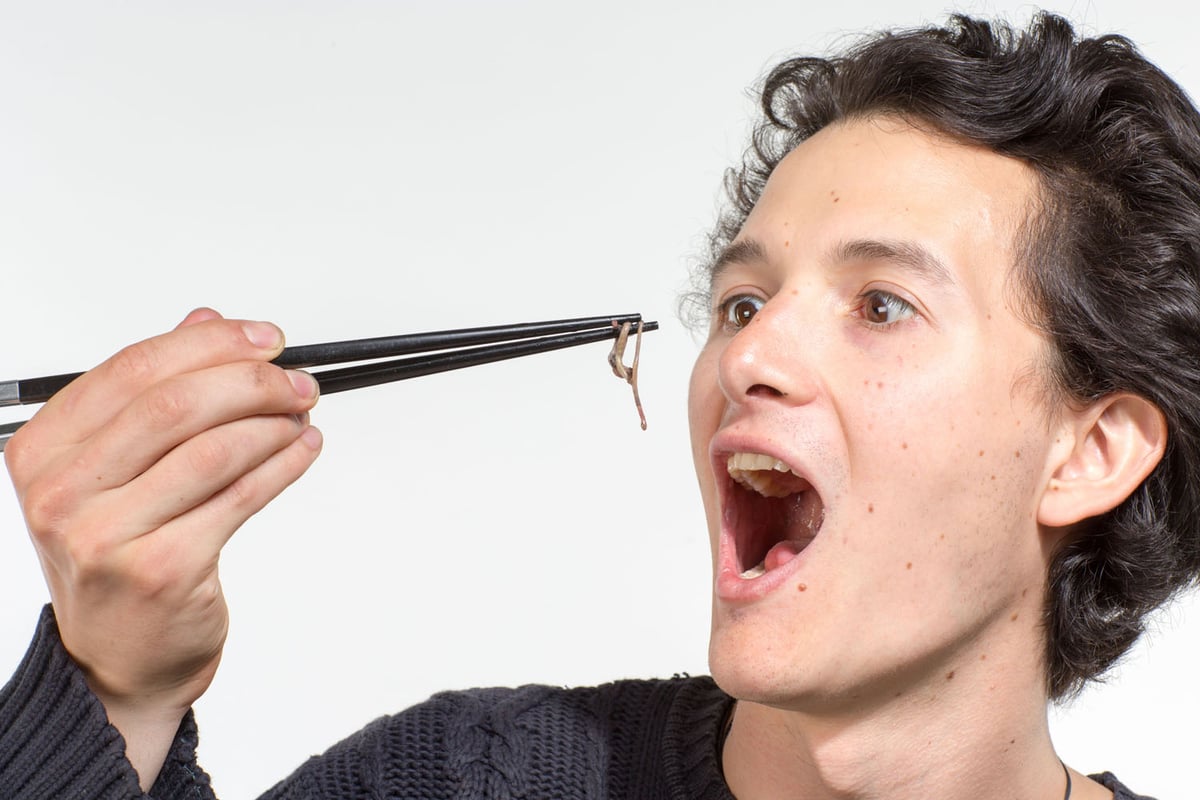 Charlie Gilmour investigates life as an insectivore | London Evening Standard