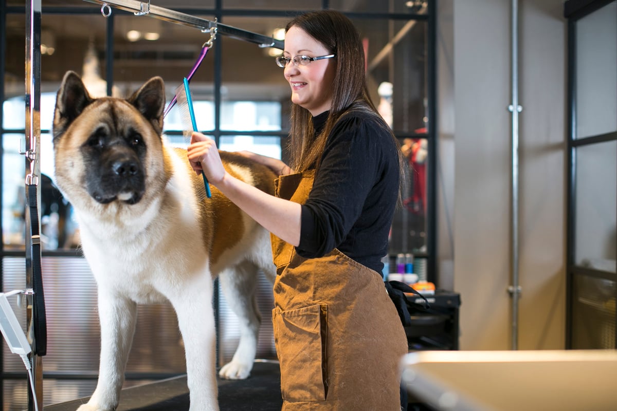 Pets at Home profit lifted as punters pamper their pooches | London Evening Standard