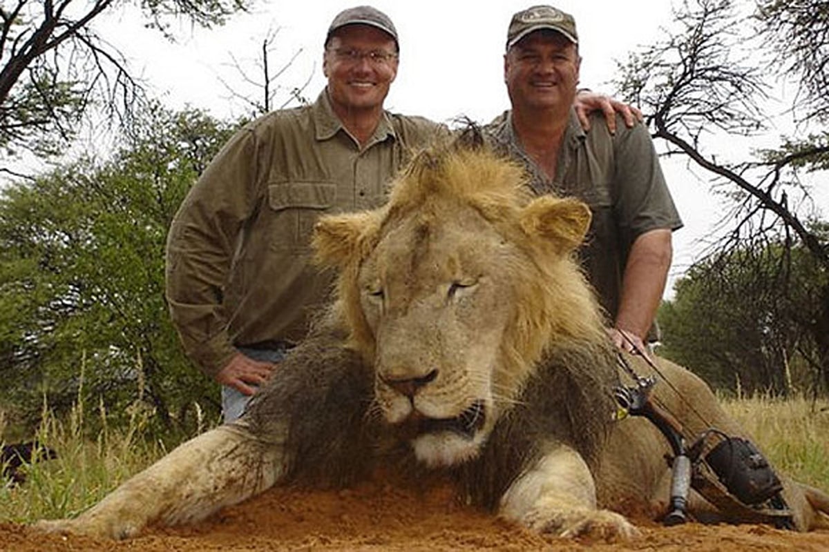 US dentist Walter Palmer will not face charges in Zimbabwe over killing of Cecil the lion | London Evening Standard