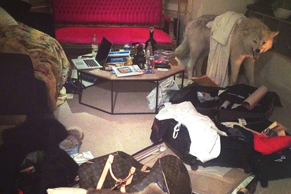 £32,000 stuffed wolf stolen from granddaughter of Charlie Watts 'by lads on night out' | London Evening Standard