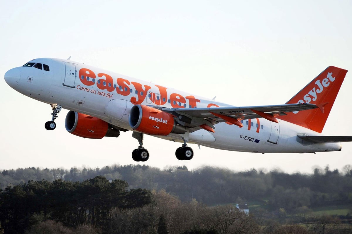 easyJet plane makes emergency landing after pilot passes out | London Evening Standard
