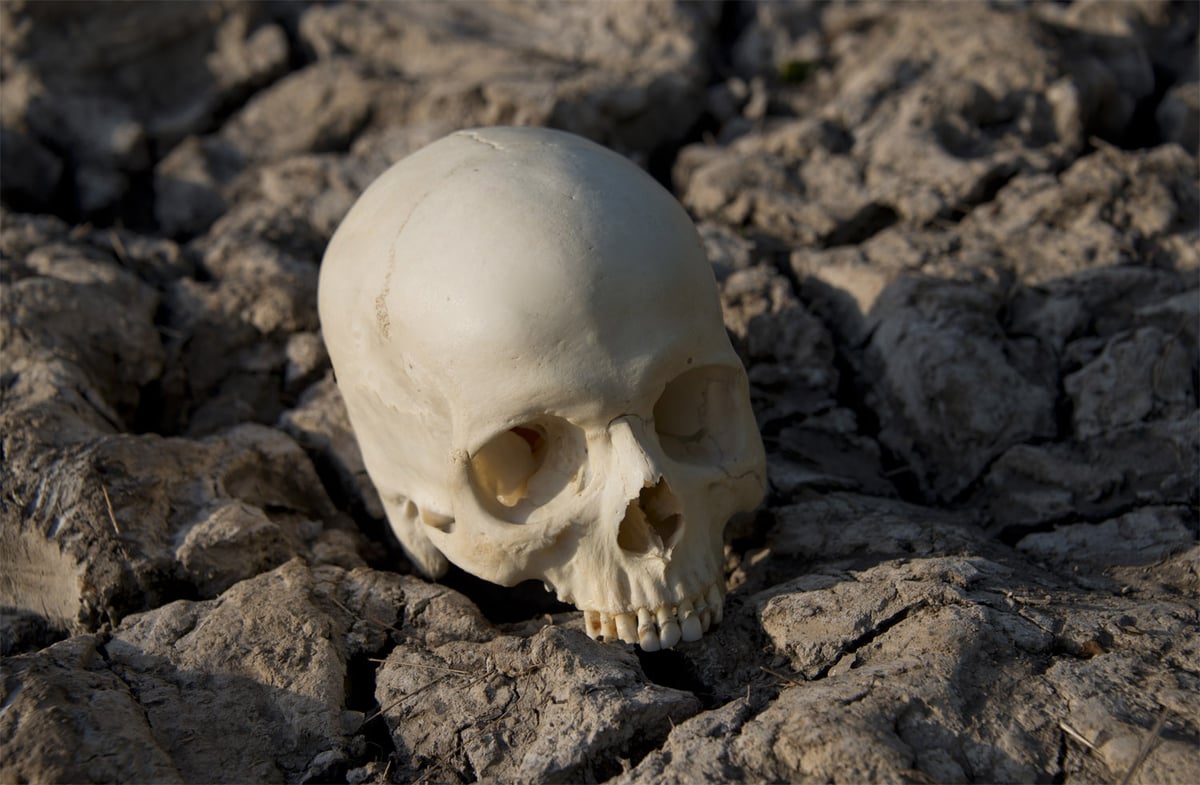 Drink from a real human skull at Borough Market this Halloween | London Evening Standard