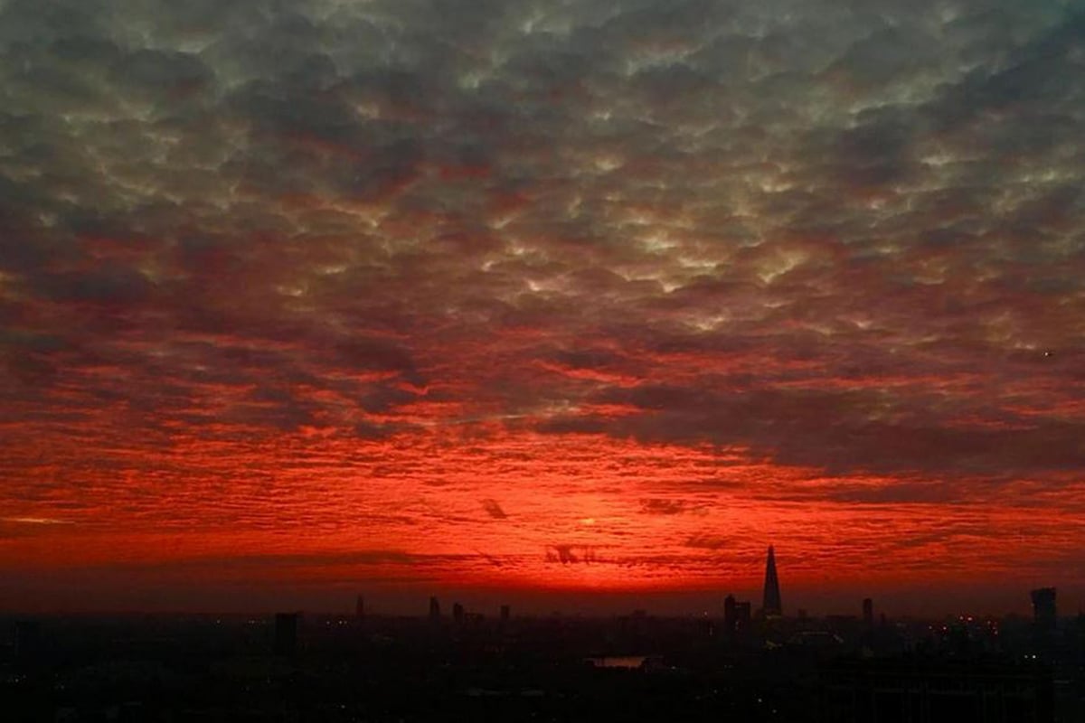 Londoners' incredible photographs capture 'most beautiful sunset ever seen' over capital | London Evening Standard