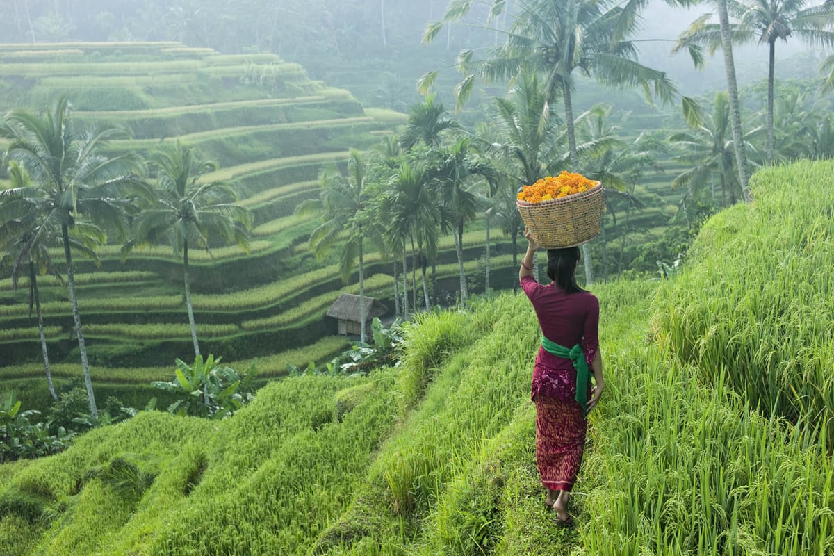 Bali: searching for inner peace and harmony | London Evening Standard