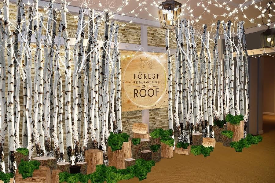 Forest-themed restaurant to take over Selfridges’ roof | London Evening Standard