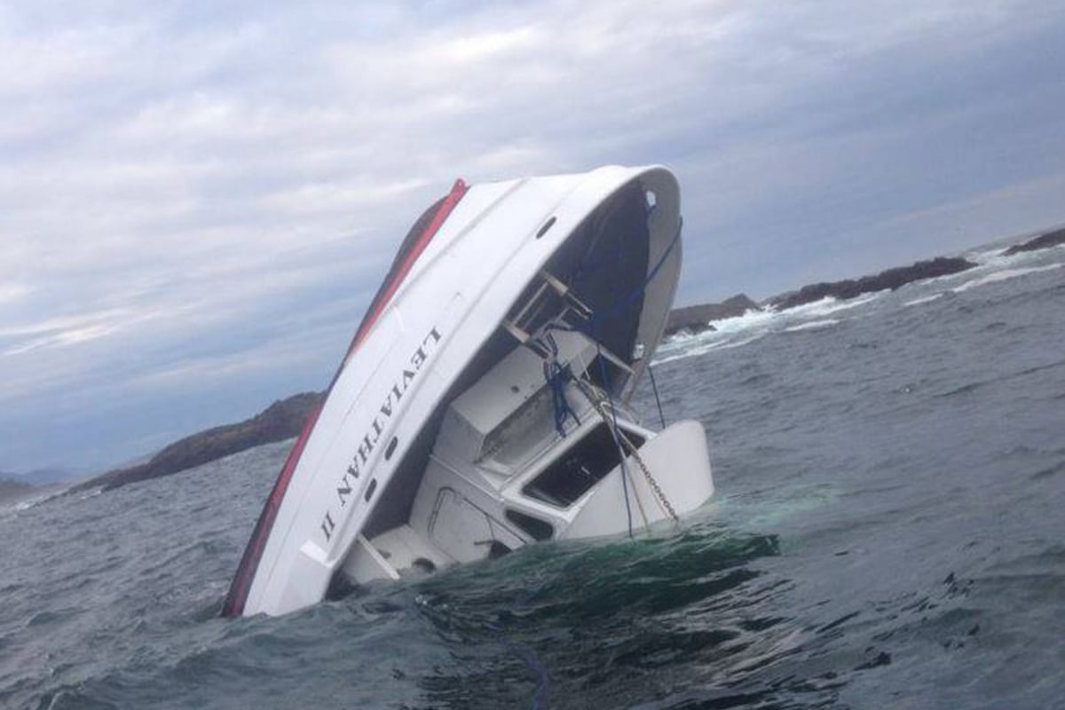 At least five dead in Canada whale-watching boat tragedy | London Evening Standard