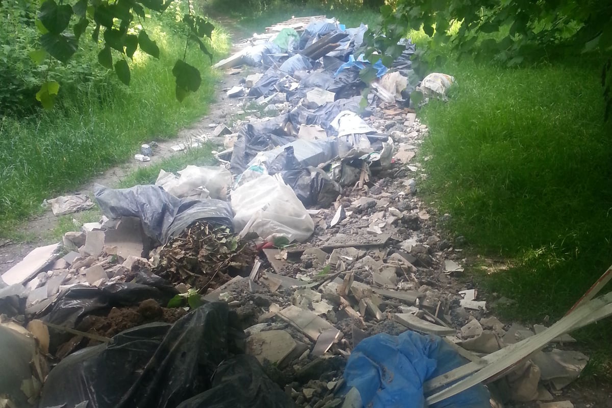Builder fined after fly tip stretching 80 metres found on Tooting Common | London Evening Standard