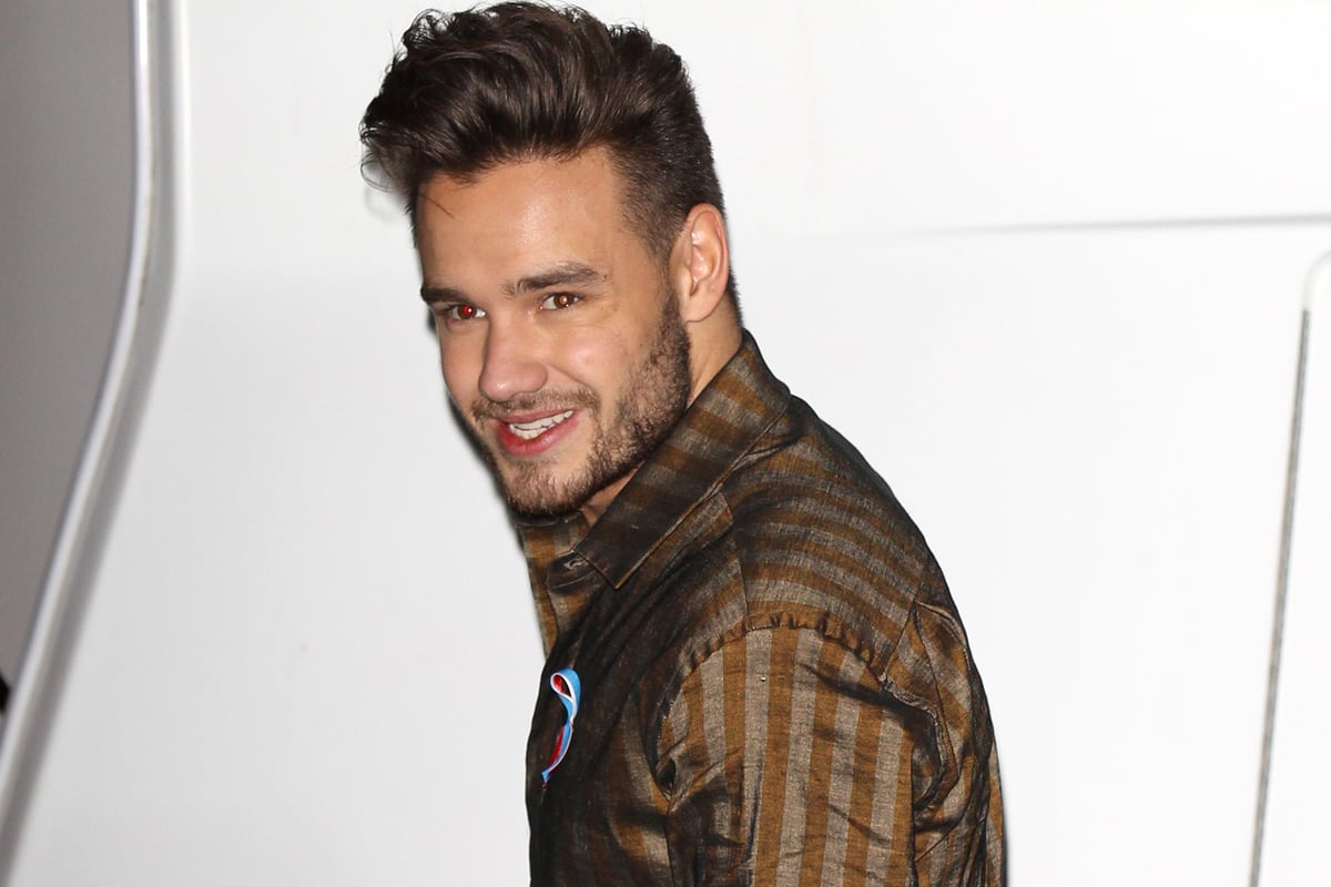 One Direction's Liam Payne buys flying car from Harry Potter for his garden | London Evening Standard