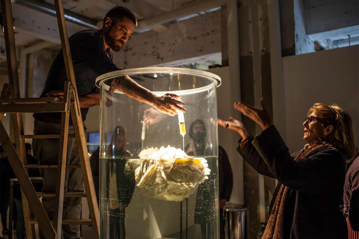 Fatberg artists create stunning sculptures as water chiefs warn homeowners not to flush Christmas turkey fat down sink | London Evening Standard