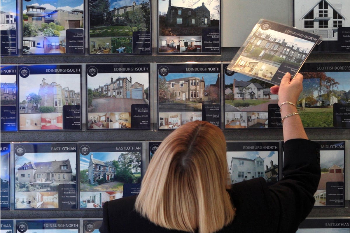 Jim Armitage: George Osborne's Autumn Statement housing policies are on the right track but homes are still too expensive | London Evening Standard