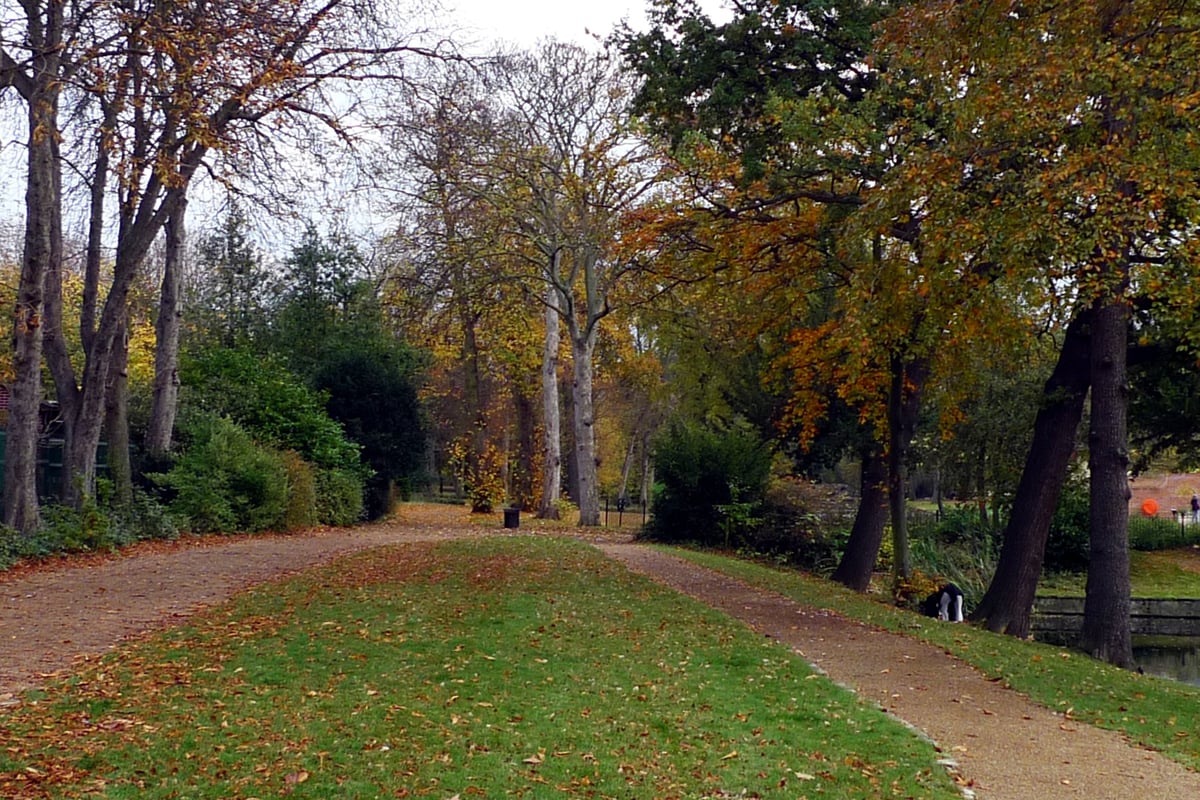 Boy, 15, sexually assaulted in public toilet near east London park | London Evening Standard