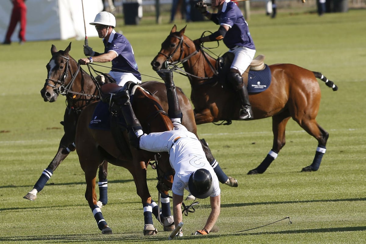 Prince Harry takes a tumble during charity polo match in South Africa | London Evening Standard
