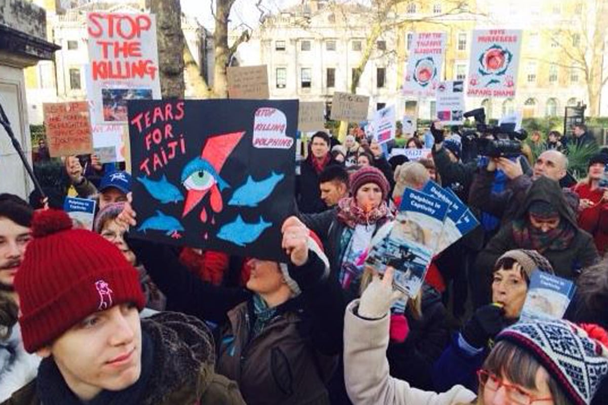 Japanese embassy protest: Activists sing David Bowie classic to campaign against the killing of dolphins | London Evening Standard