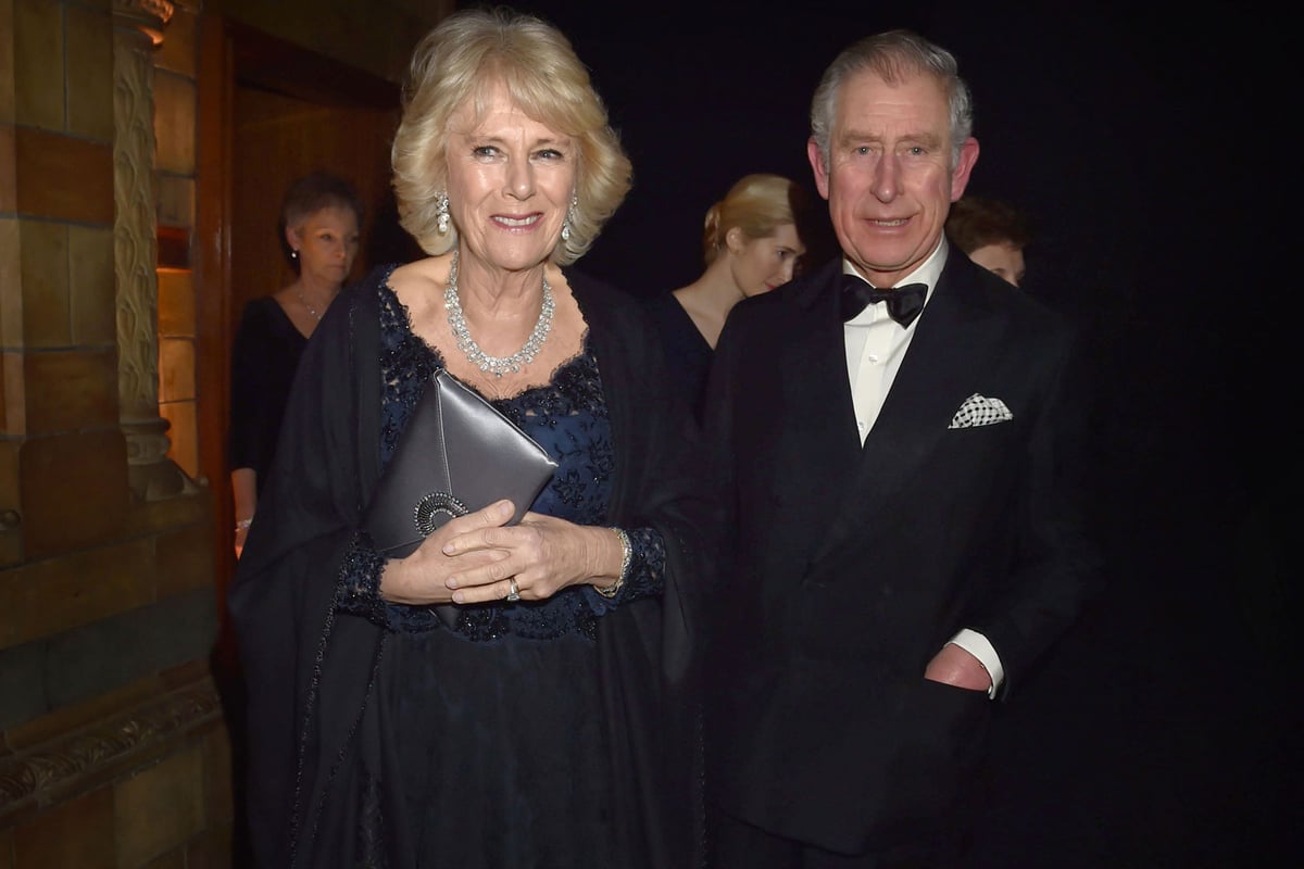 Prince Charles and Camilla attend star-studded dinner for supporters of the British Asian Trust | London Evening Standard