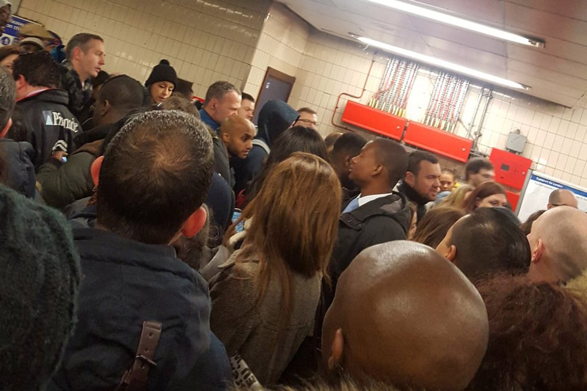 Victoria Line delays: Commuter panic as emergency sparks 'crush' to leave Seven Sisters station | London Evening Standard