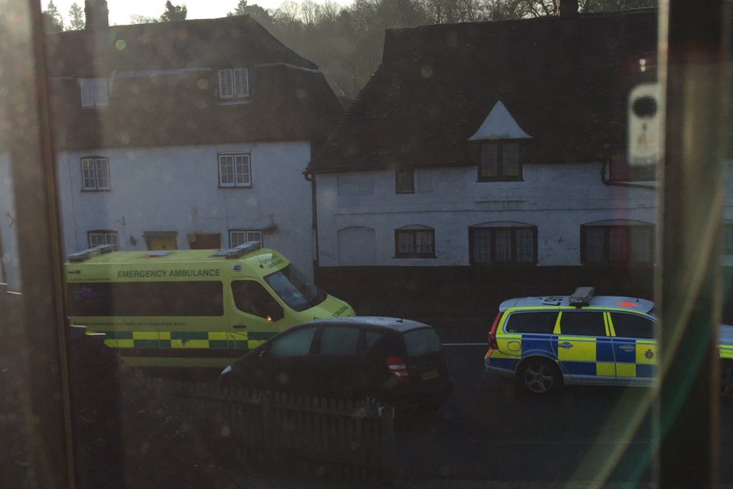 Armed police called after man 'attacked by dogs' in home