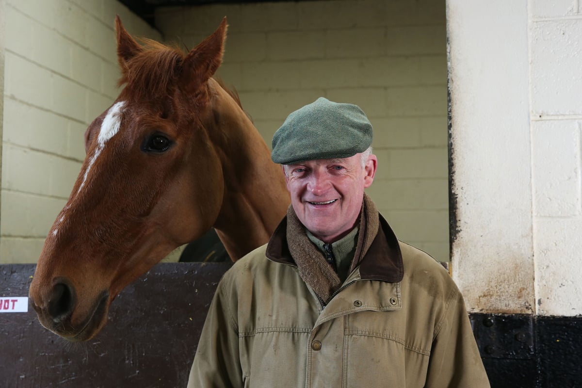 Paddy Power Betfair has eyes on trainer Willie Mullins at Cheltenham | London Evening Standard