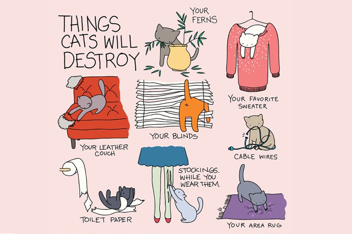 Anyone who owns a cat will be able to relate to these hilarious illustrations | London Evening Standard