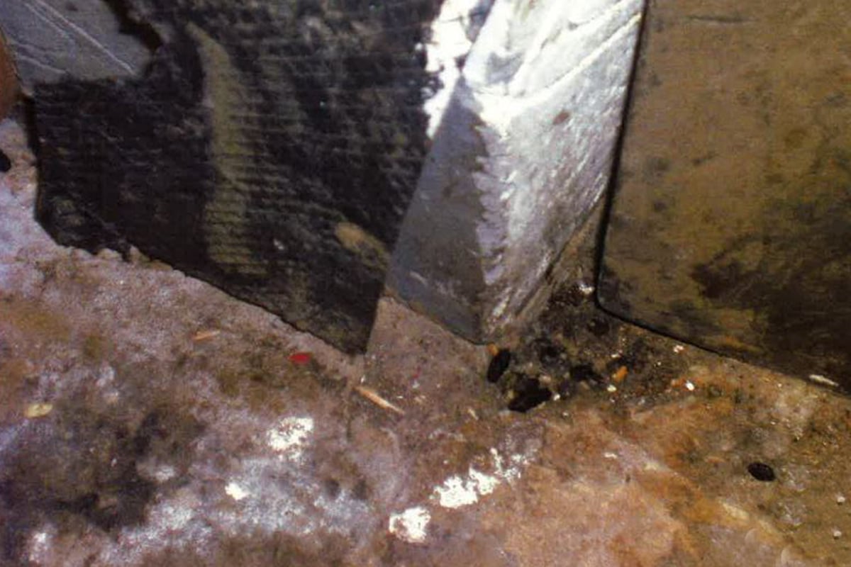 Owner of filthy takeaway fined £6,500 after flies and rat droppings found inside | London Evening Standard