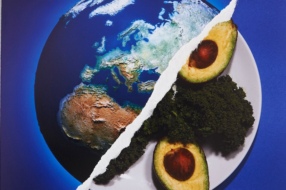 Clean, but not green: why clean-eating could be killing the planet | London Evening Standard