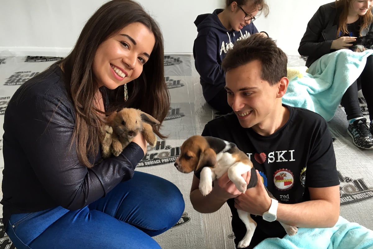 London university brings in puppies and bunnies to relieve students' exam stress | London Evening Standard