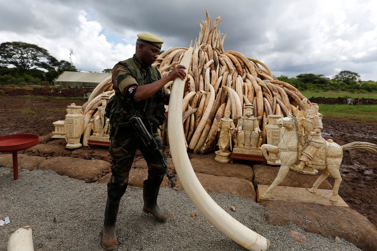 London antique dealers 'made to smash up ivory relics at customs' | London Evening Standard