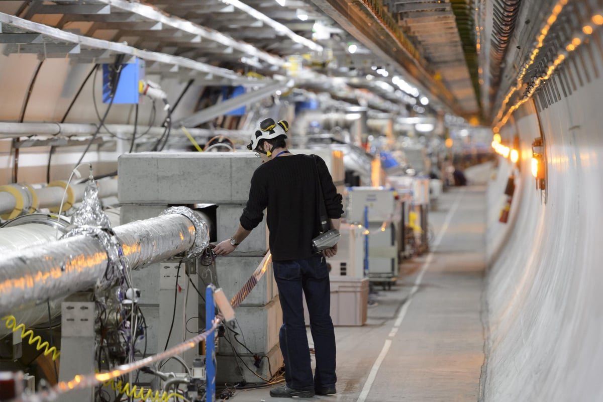 Weasel shuts down £3.7bn Large Hadron Collider by munching through cable | London Evening Standard