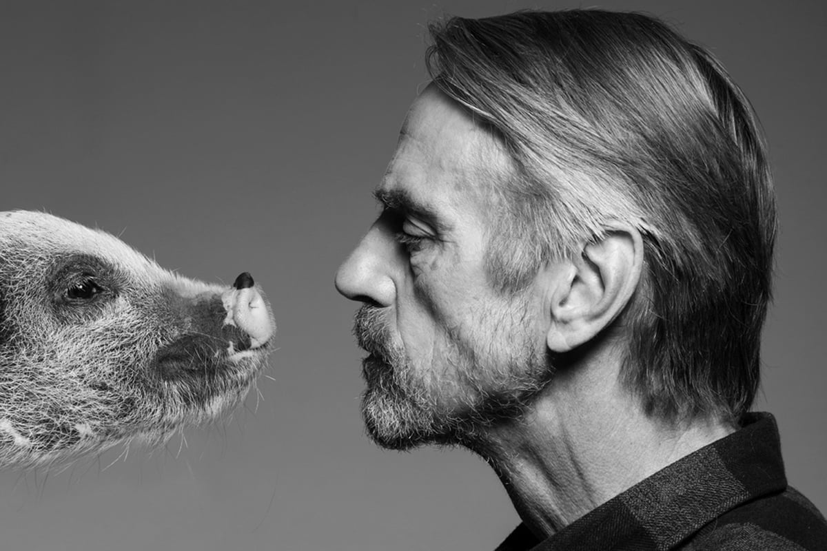 Jeremy Irons eyes up a pig as he throws support behind Turn Your Nose Up campaign | London Evening Standard