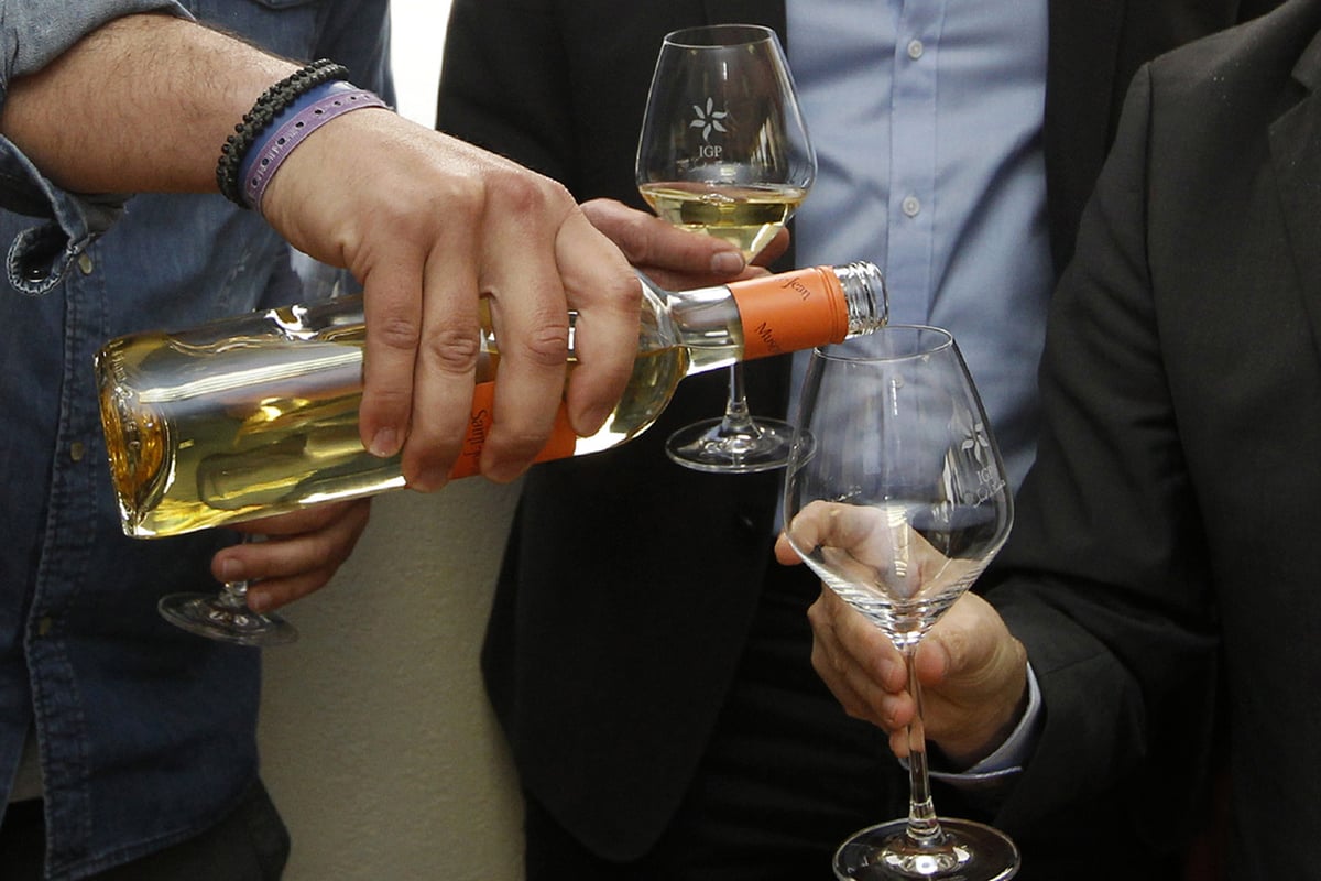 Majestic Wine's sales back in growth after four years | London Evening Standard