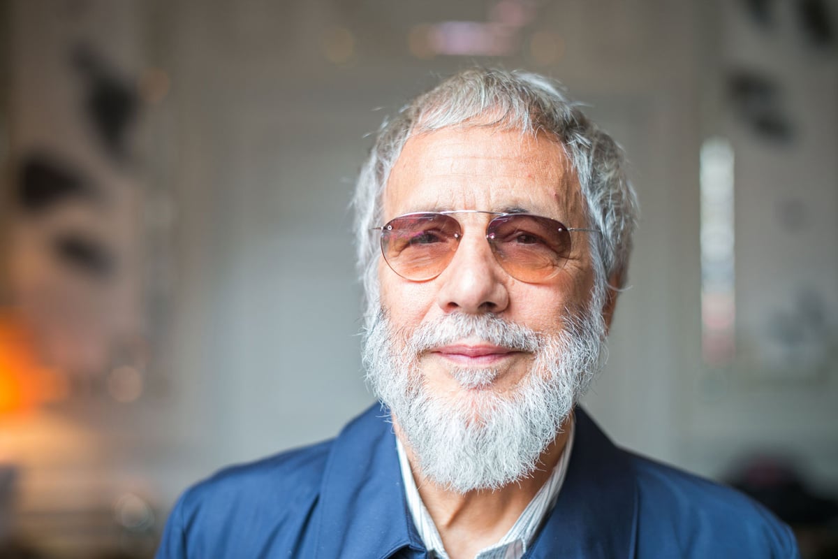 Yusuf Islam breaks out into rendition of ‘Wild World’ over Brexit debate | London Evening Standard