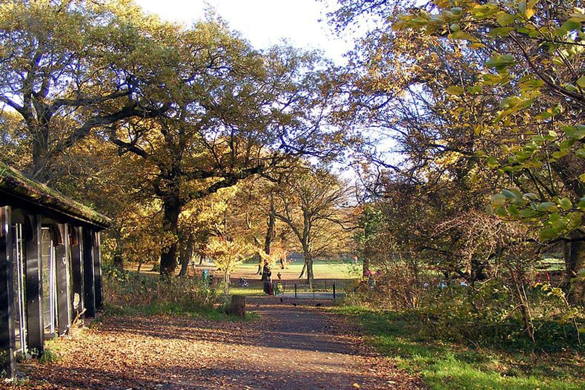 Cherry Tree Wood attack: Teenager sexually assaulted in north London park | London Evening Standard