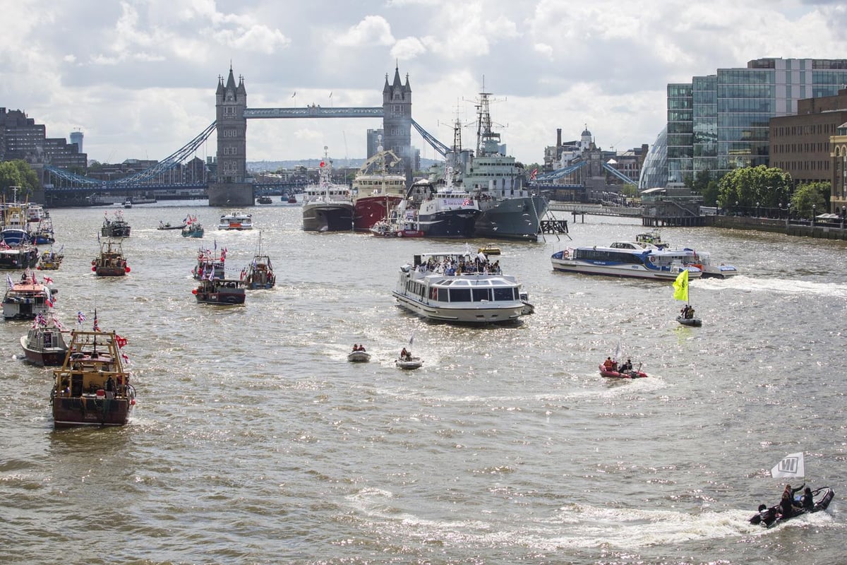 Nigel Farage and Sir Bob Geldof clash on Brexit in bizarre Thames flotilla 'battle' | London Evening Standard