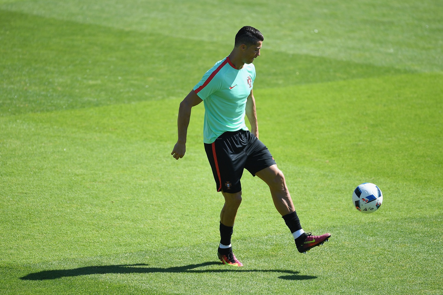 Ronaldo invites widow of ALS sufferer to Euro 2016 final
