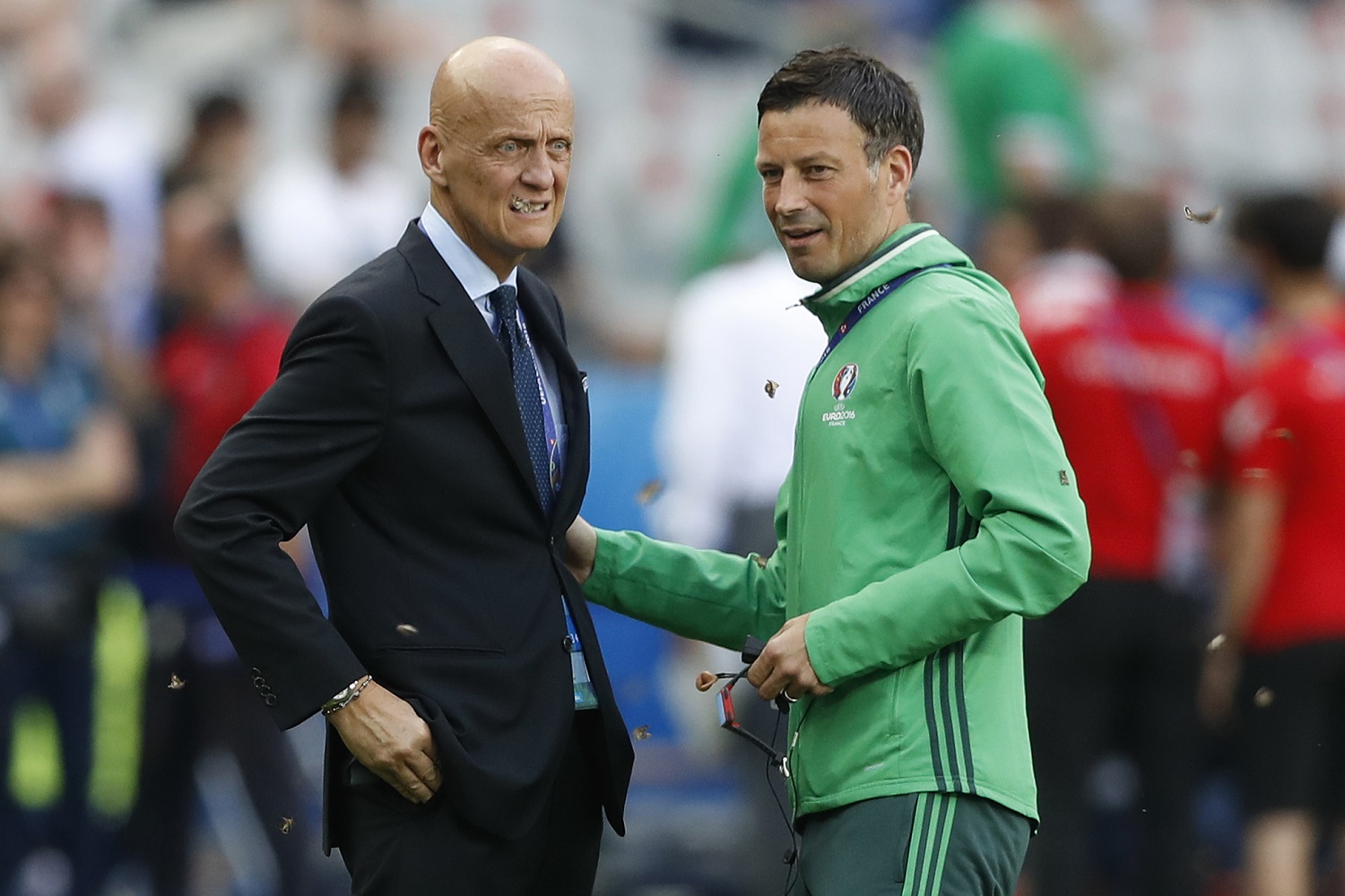 Plague of moths disrupts Euro 2016 final