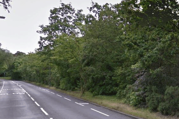 Croydon police 'launch crackdown on horny pensioners' at south London woodland | London Evening Standard