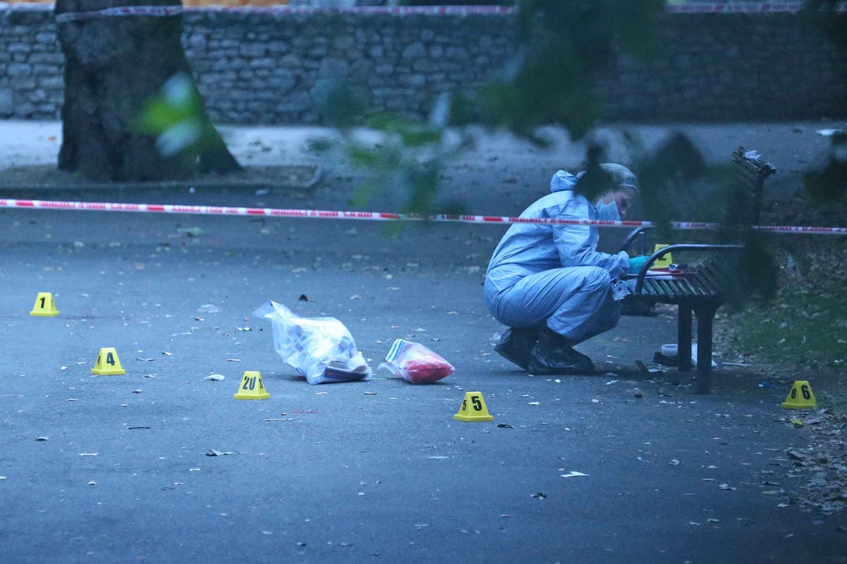 Stratford Park stabbing: Man knifed to death at park in east London | London Evening Standard