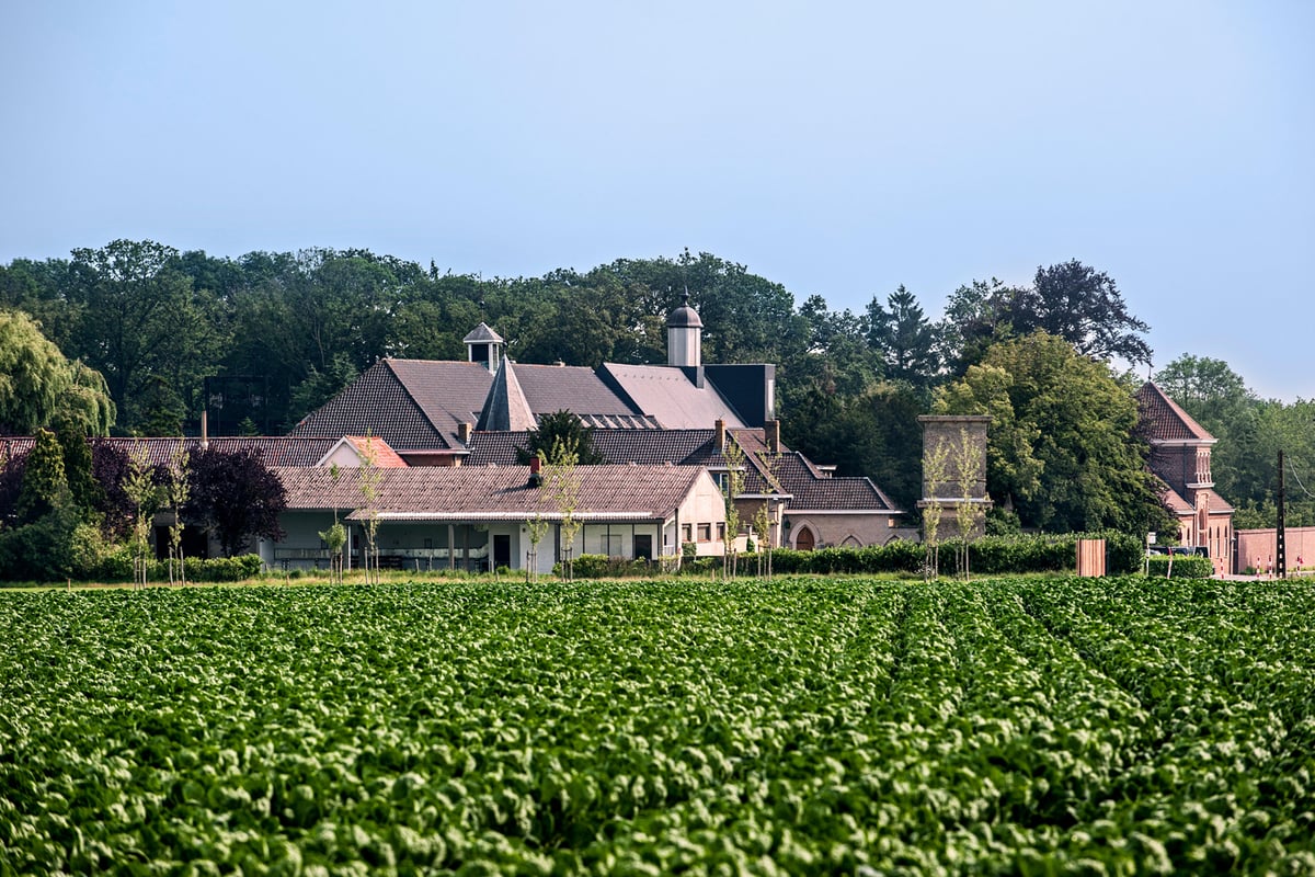 Belgium: faith, hops and glory in Flanders | London Evening Standard