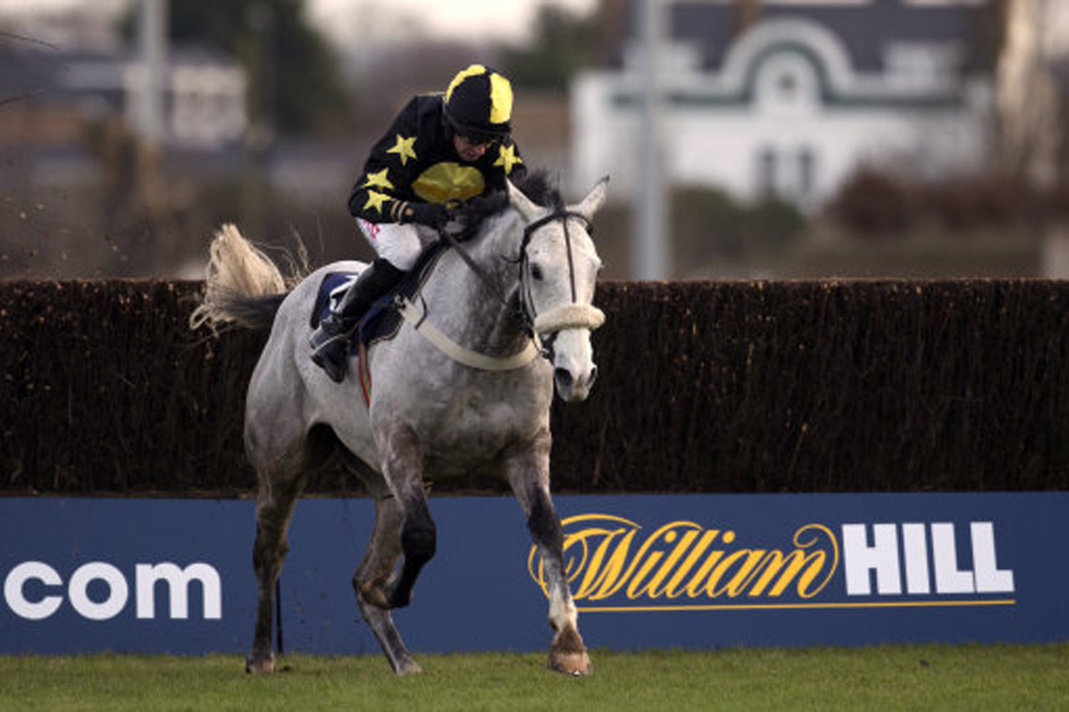 Jim Armitage: Why Rank's bid for William Hill deserves to be ditched