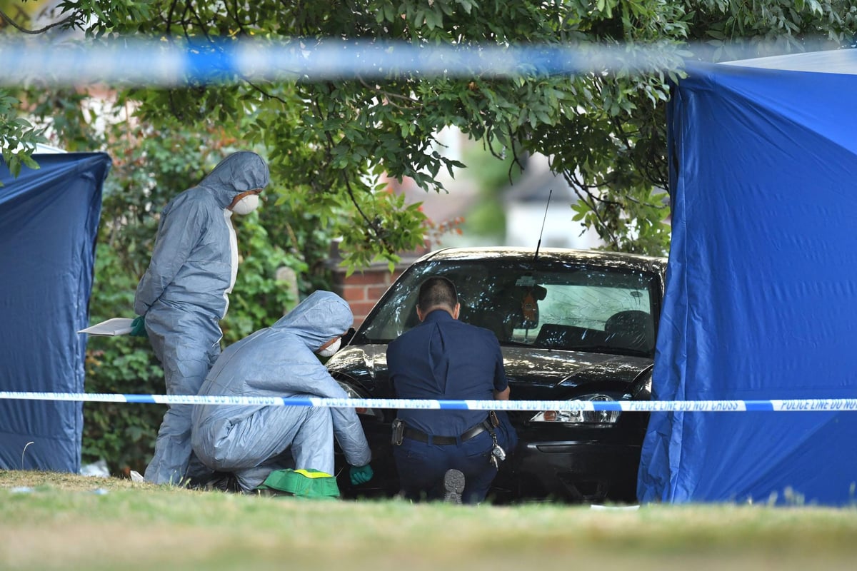 Son of millionaire facing 'severe' jail term for killing child actor and aunt while fleeing police | London Evening Standard