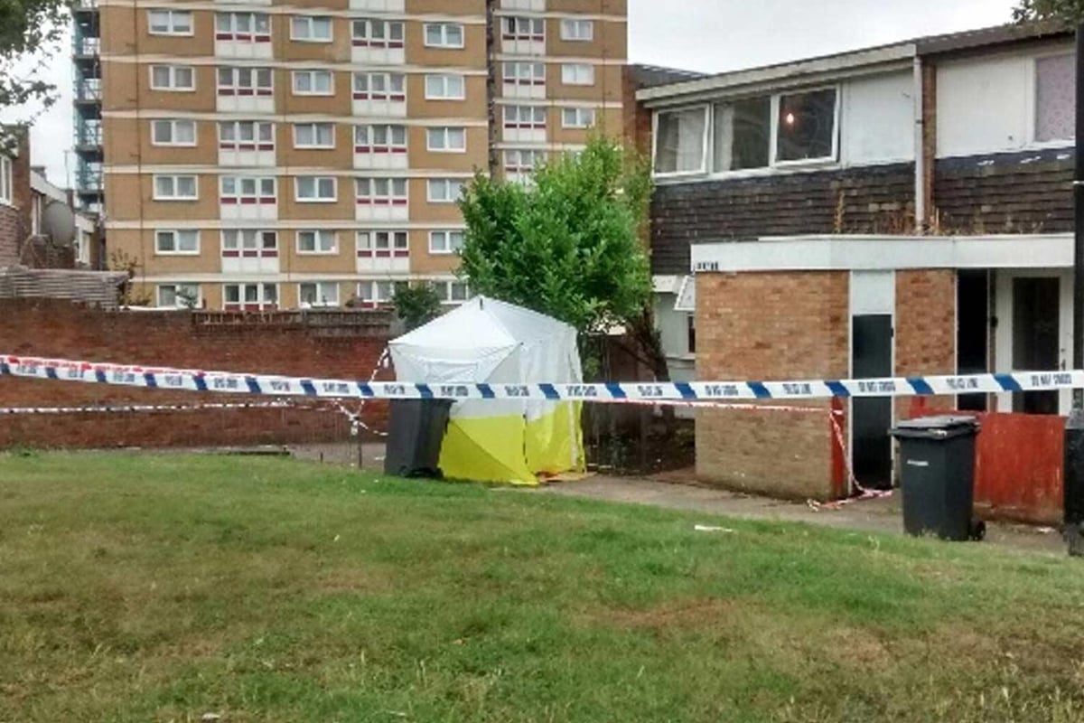Wood Green: Murder probe launched after man stabbed to death at house in north London | London Evening Standard